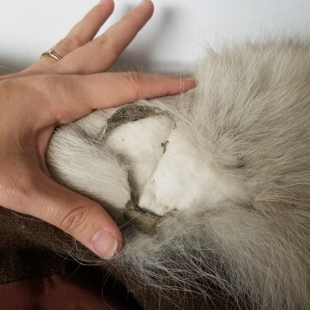 VINTAGE Icove & Young Romantique Anglo Fabrics Fur - Picture 7 of 8